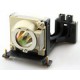 Projector Lamp for LG