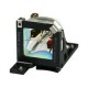 Projector Lamp for Epson