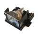 Projector Lamp for Eiki