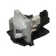 Projector Lamp for LG