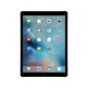 iPad Pro 32GB Sp Grey WIFI